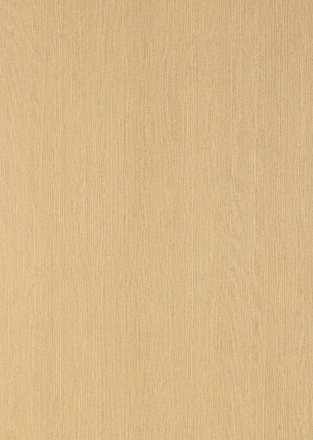 Trinity — Flat Panel / Slab door by Canyon Creek
