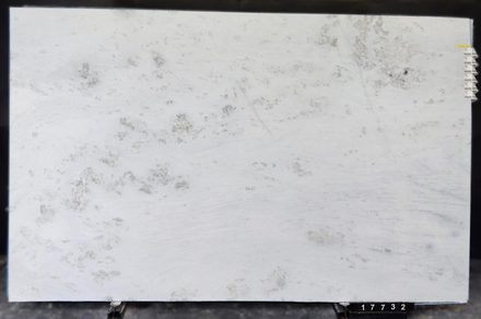 Absolute White marble slab
