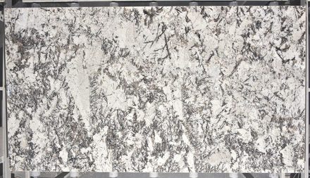Actual Delicatus White slab, bundle BGX810-36, MSI Seattle warehouse