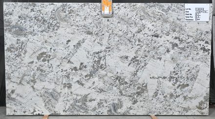 Actual Gray Nuevo slab, bundle SHR797-01, MSI Seattle warehouse