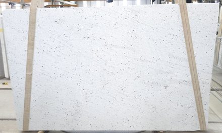 Actual Pitaya White slab, bundle BCA281-54, MSI Seattle warehouse