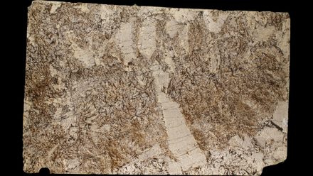 Brown Persa · 3cm (1¼″) granite slab