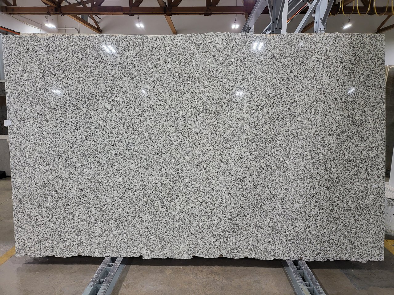 Iberian White — full slab