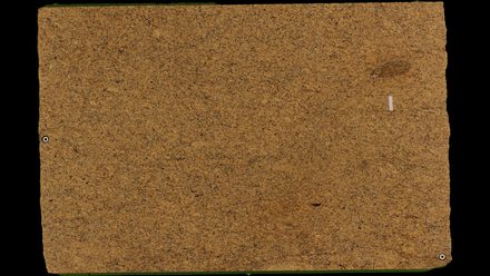 Actual Oro Brasil · 3cm (1¼″) slab, lot 4000359032, Cosentino Center Spokane