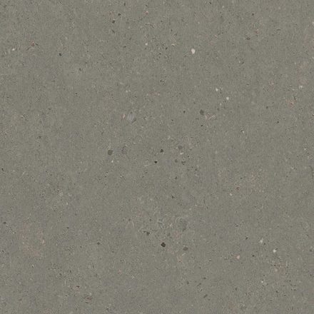 Flint Siltstone laminate — Gray Concrete