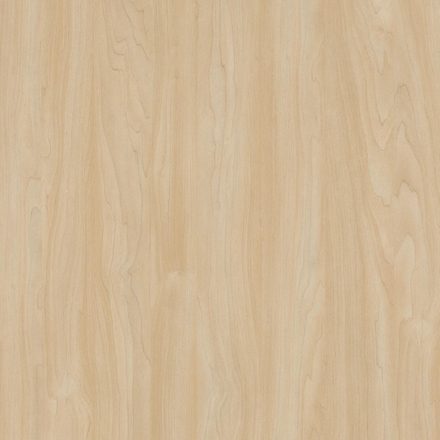 Silver Maple laminate — Cream Wood