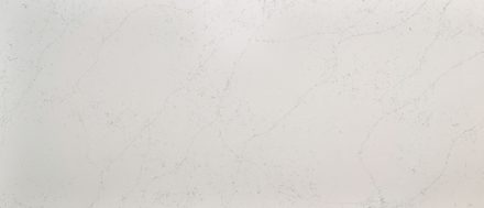 Calacatta Botanica quartz — White Marble