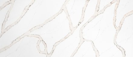 Calacatta Goa quartz — White Marble