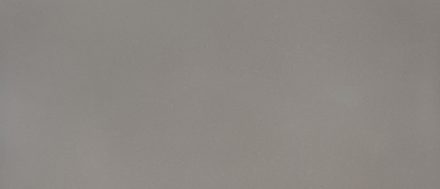 Fossil Gray quartz — Grey Stone