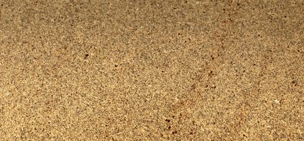 Amarillo Catedral granite slab