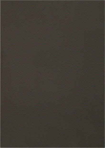 Paragon cabinet door style by Canyon Creek